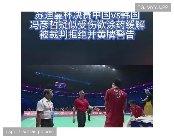 不当行为判罚要点：裁判区分黄牌与红牌的判断标准与常见误区