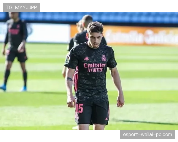 巴尔韦德与赖斯的防守覆盖能力对比：机制、效率与角色限制分析