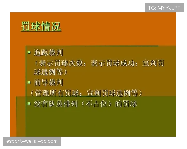 篮球裁判判罚流程详解：判定依据与标准规则解析