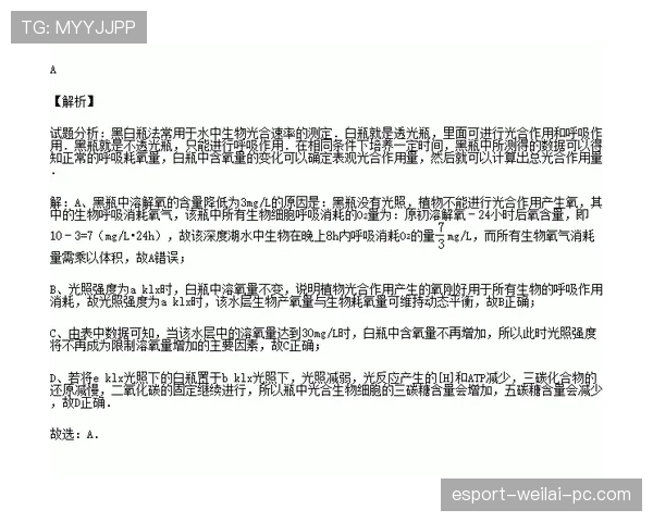 L组小组第一悬念有多大？