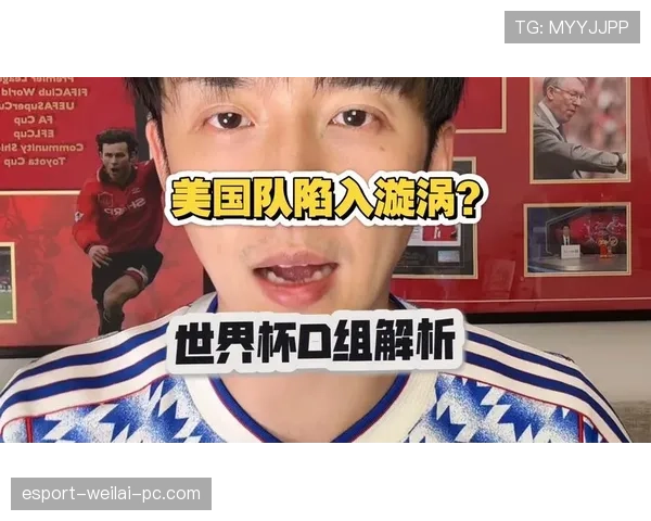 世界杯美国队D组对手战术特点解析